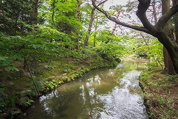 Shibata river