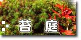 苔庭案内