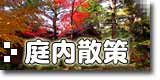 庭内散策